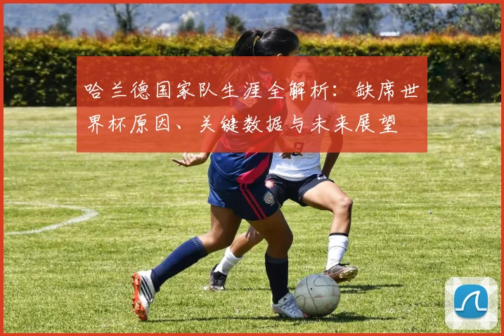 哈兰德国家队生涯全解析：缺席世界杯原因、关键数据与未来展望